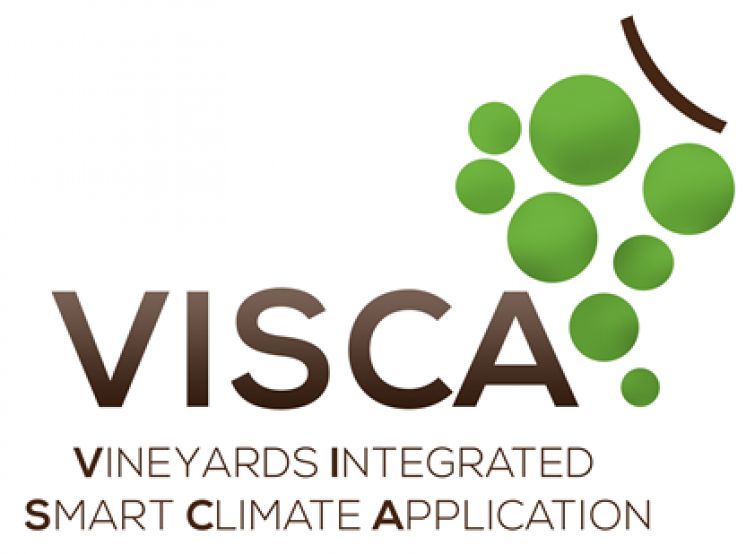 Visca_Logo