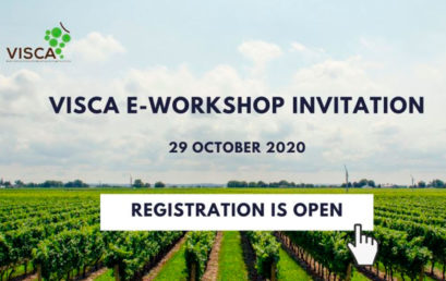 Visca e-workshop l 29th October 2020